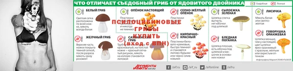 бутират Нязепетровск
