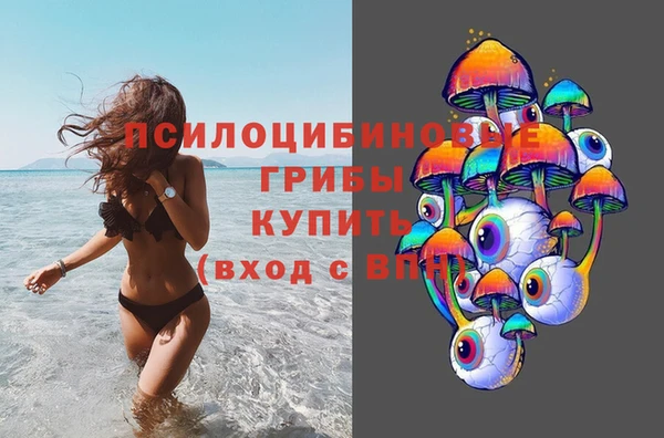 дмт Нягань