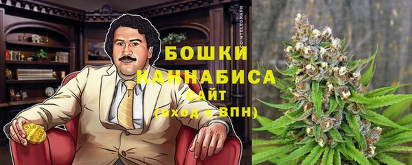 apvp Осташков
