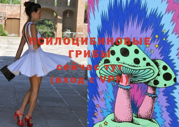 винт Няндома