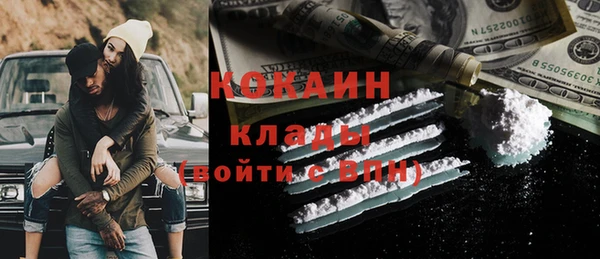 дмт Нягань