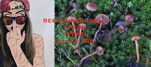 apvp Осташков