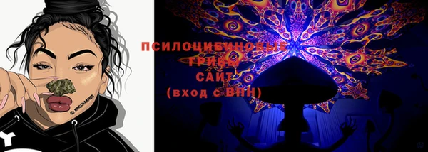 дмт Нягань