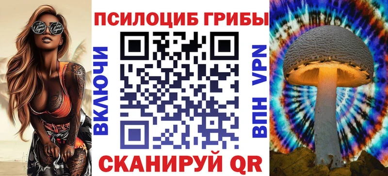 Псилоцибиновые грибы Magic Shrooms  сколько стоит  Алексин 