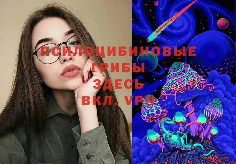 Галлюциногенные грибы Cubensis  сколько стоит  Алексин 