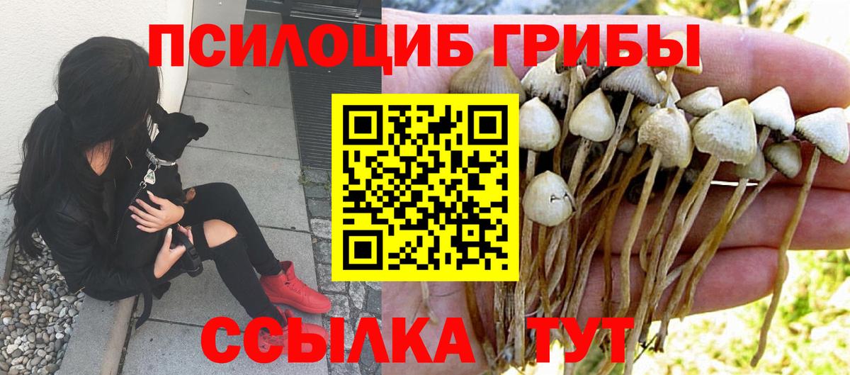 Псилоцибиновые грибы Cubensis  Вход с VPN  Алексин 