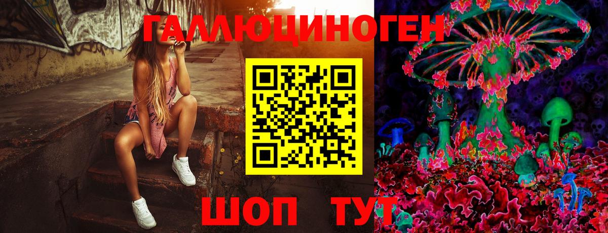 Галлюциногенные грибы Psilocybe Алексин